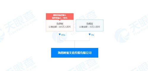 馬伊琍海南布局新賽道 文化傳媒公司成立，深耕演藝與網絡文化經營